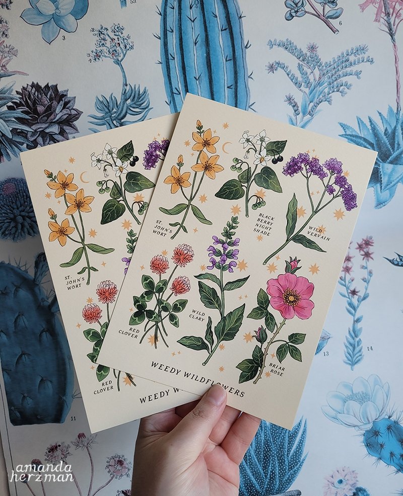Weedy Wildflowers Print