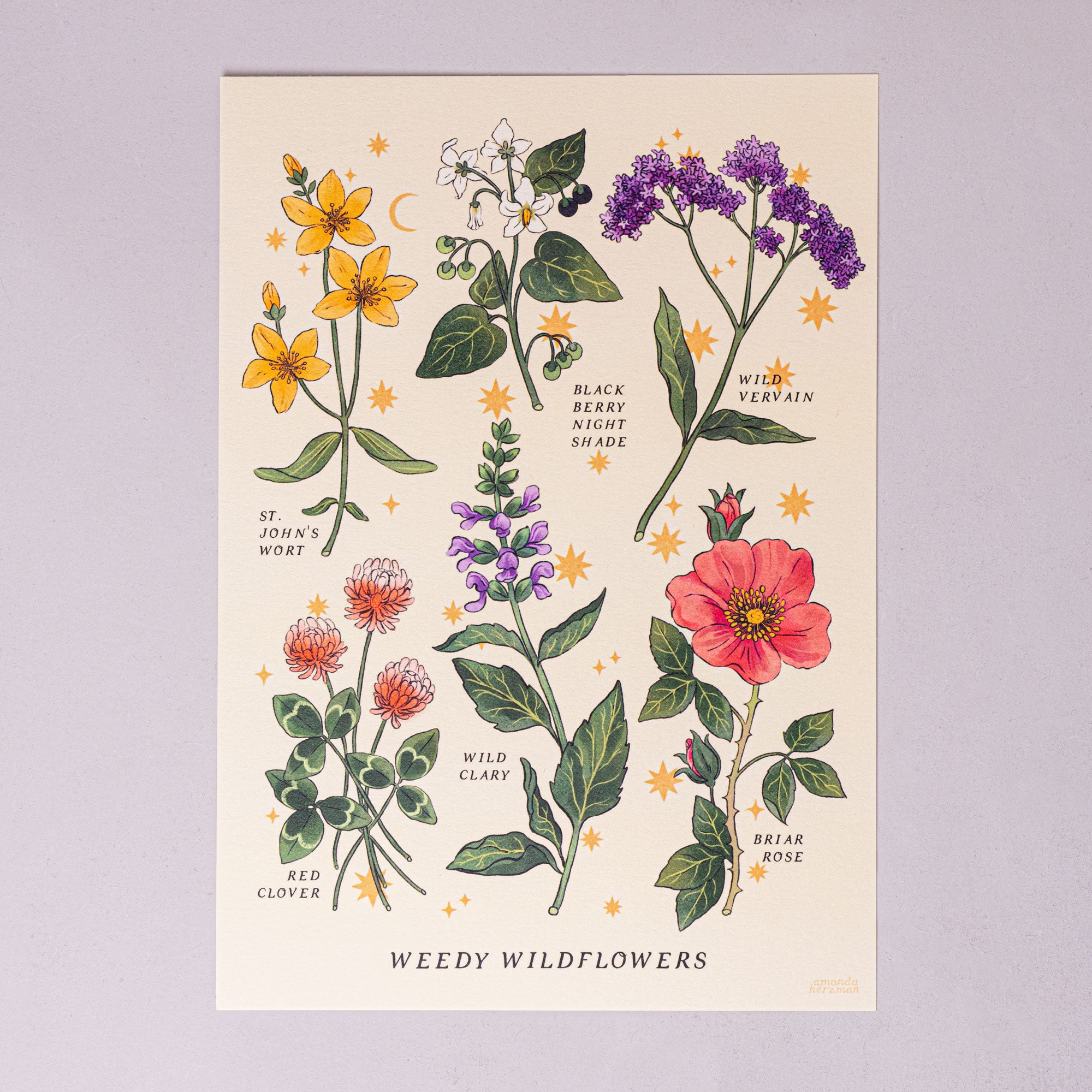 Weedy Wildflowers Print