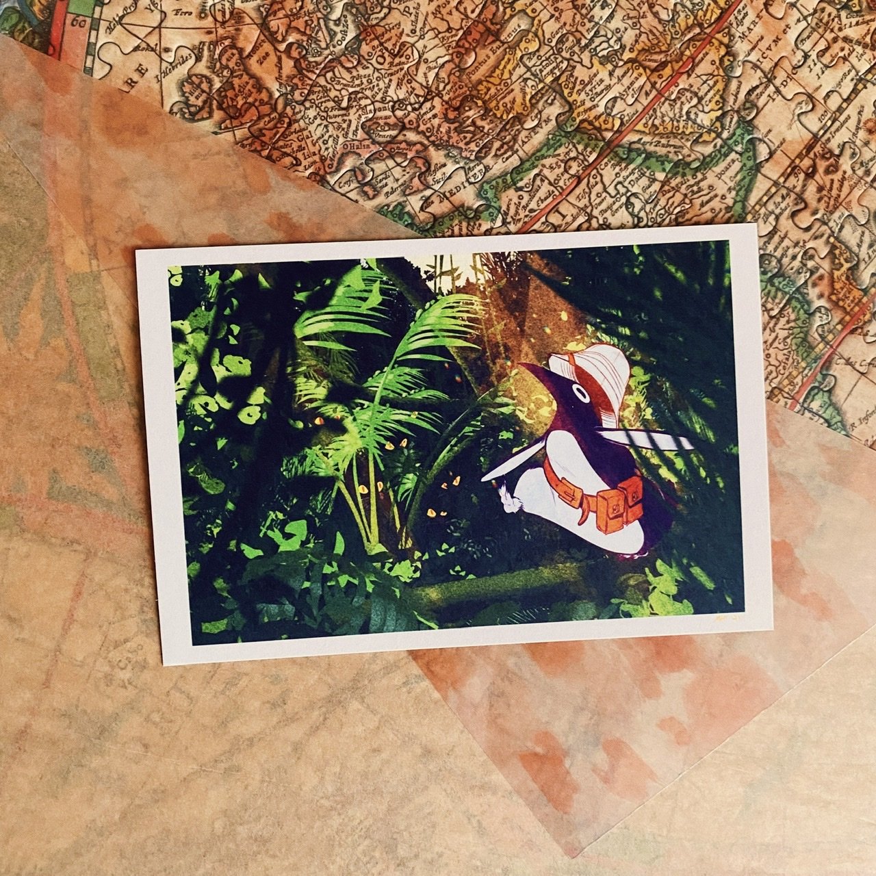 Travel Boy Honk Postcards - Jungle