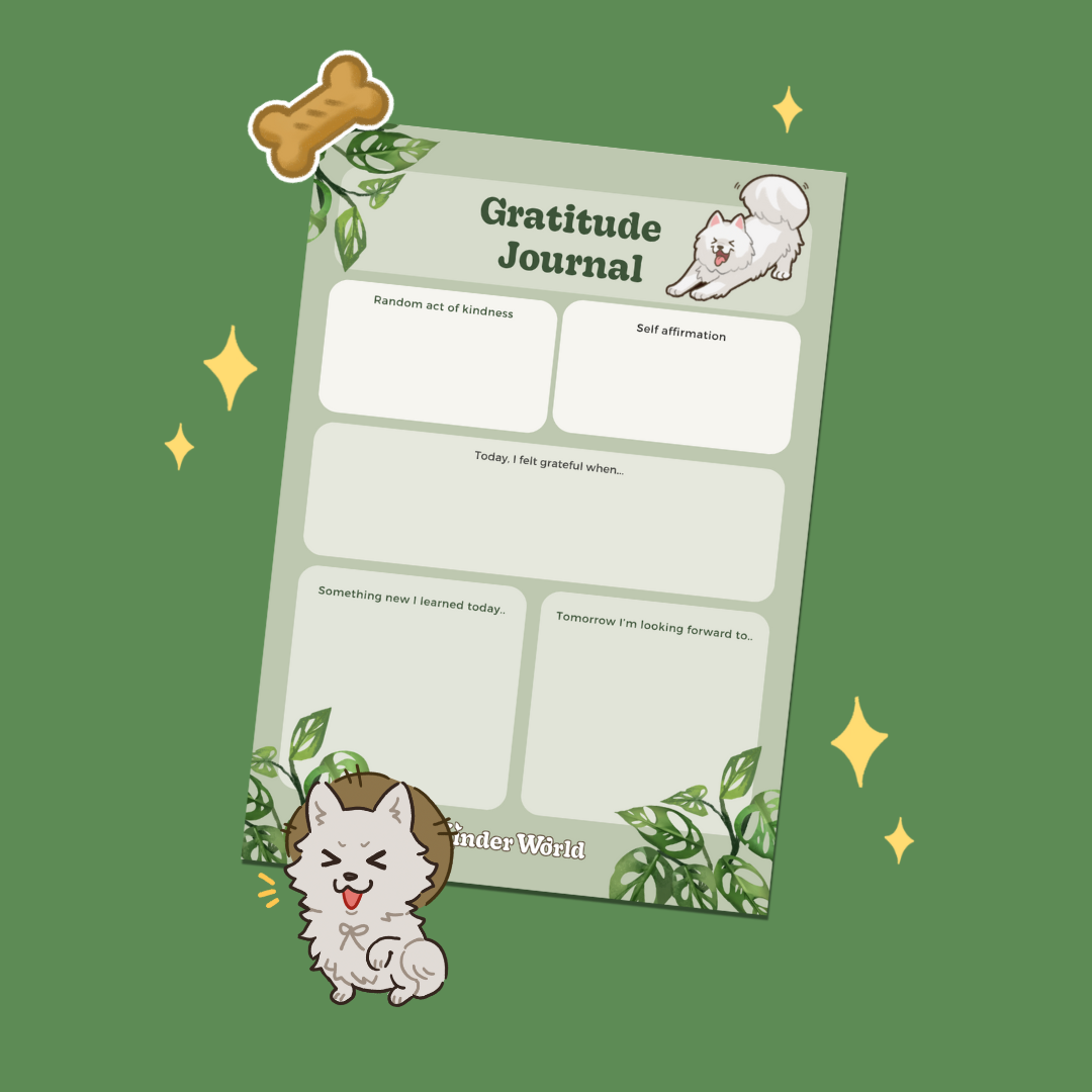 Gratitude Journaling Sheets Digital Download - 3