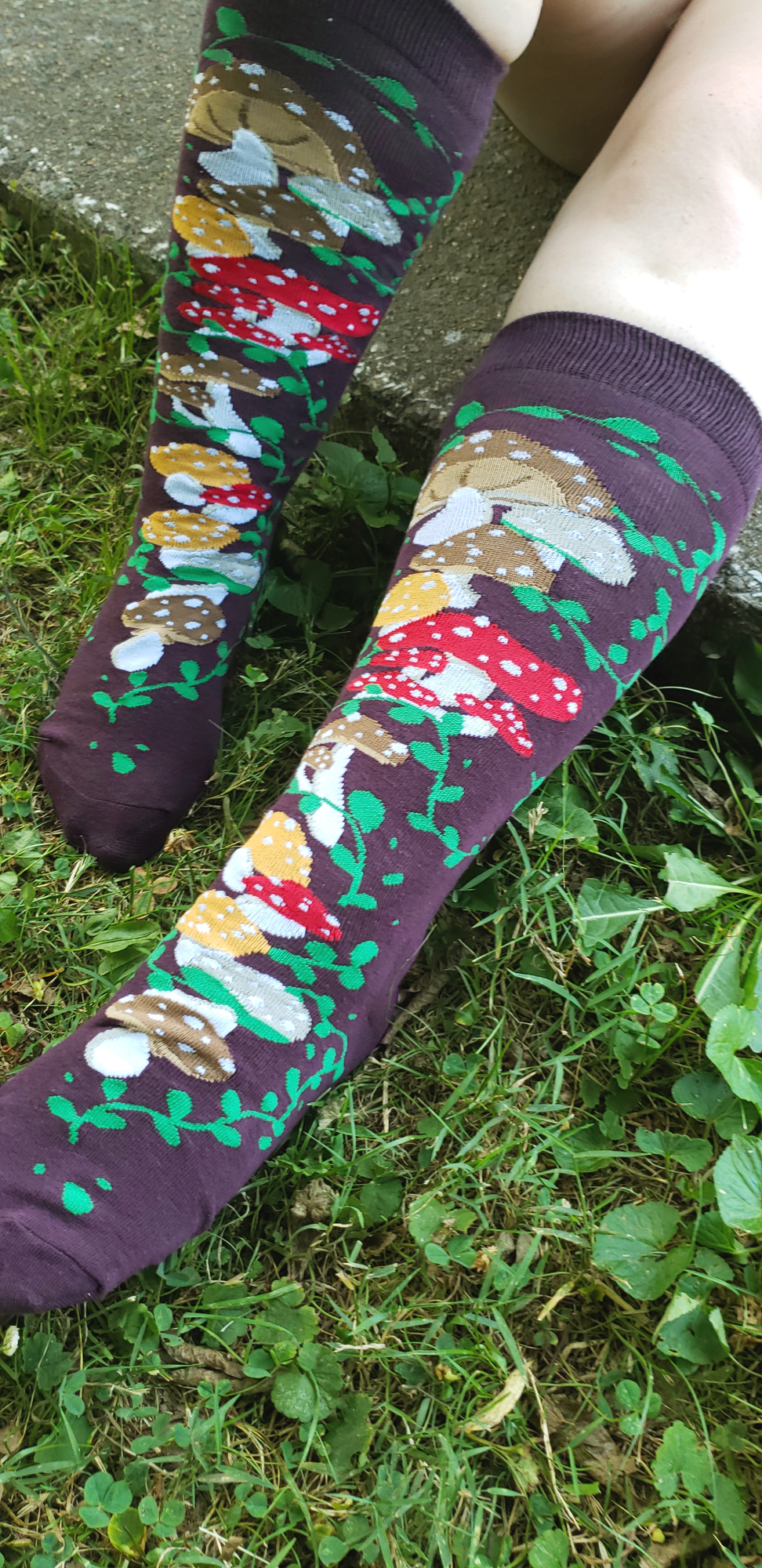Knee High Mushroom Garden Socks