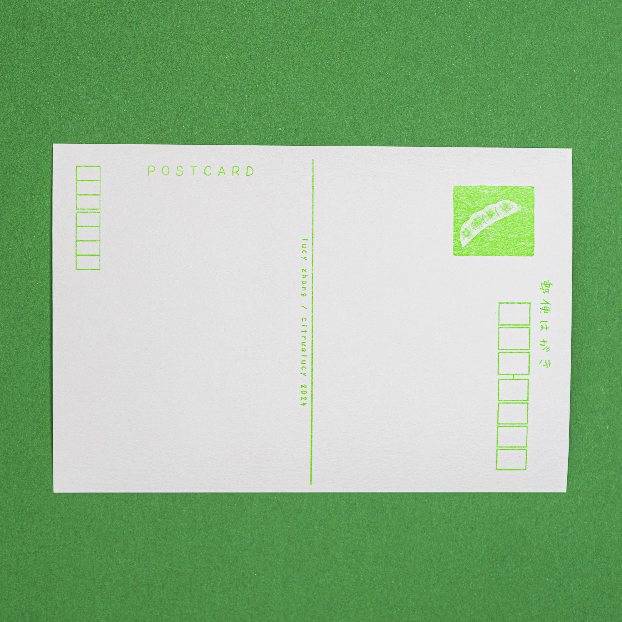 Edamame Riso Postcard
