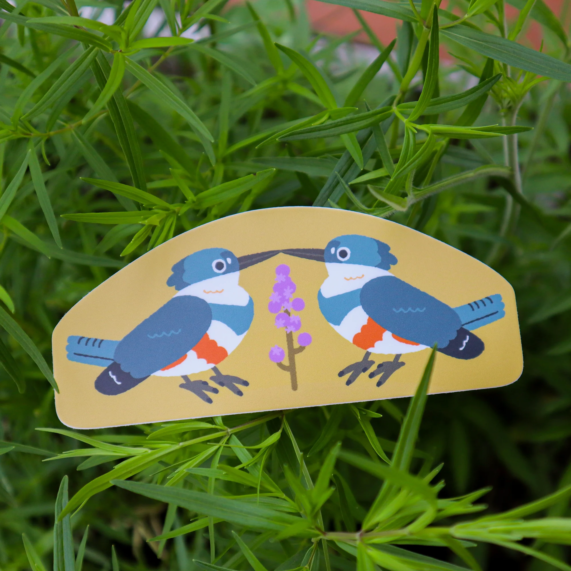 Pride Birds - Kingfishers
