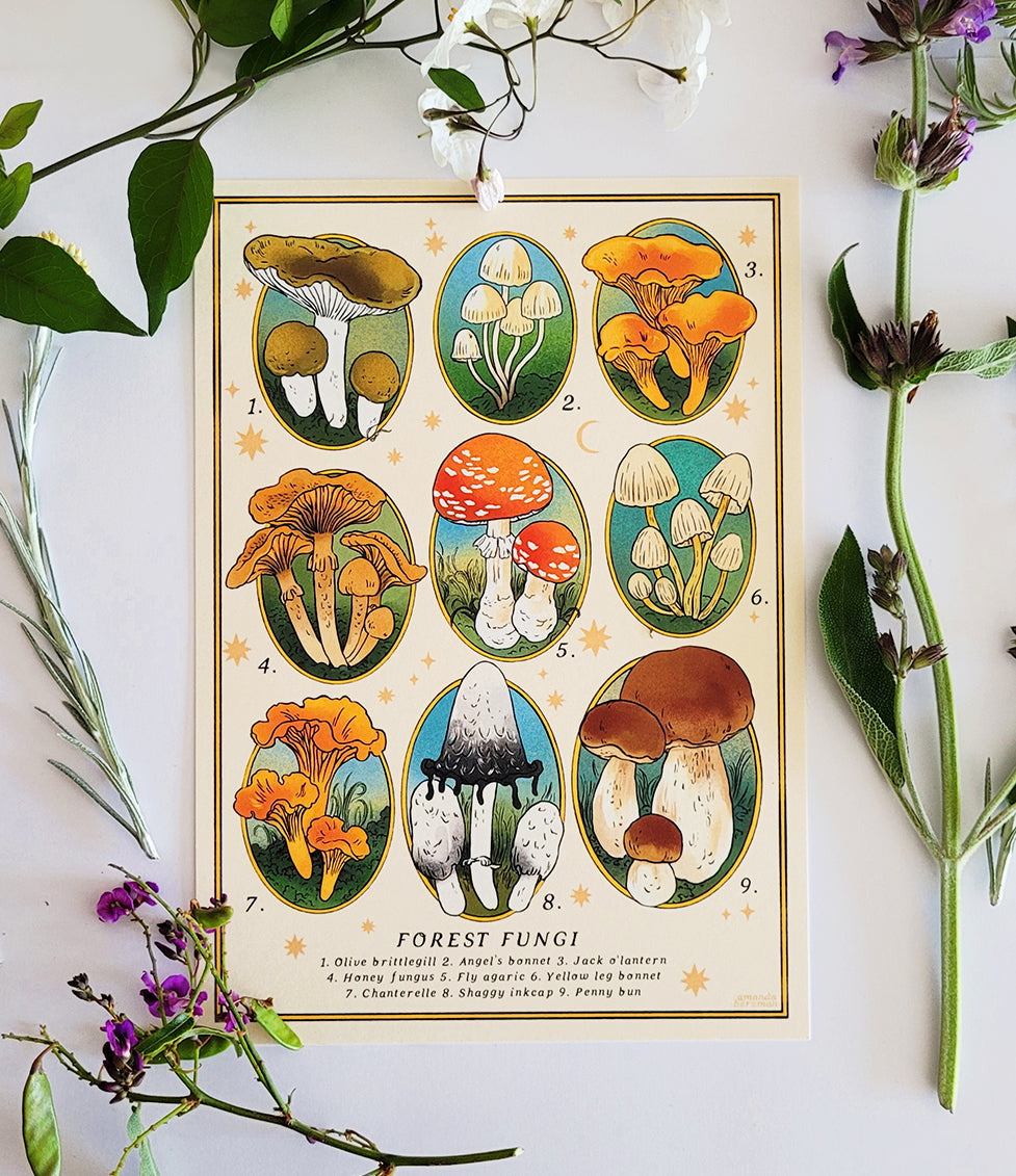 Fungi Forest Print