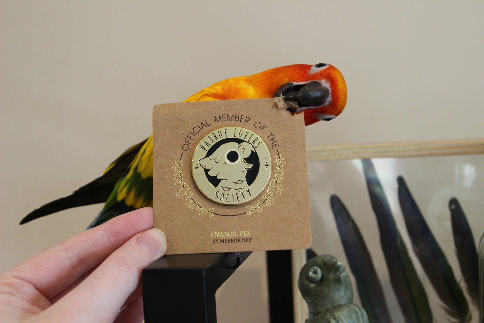 Parrot Lovers Society Pin