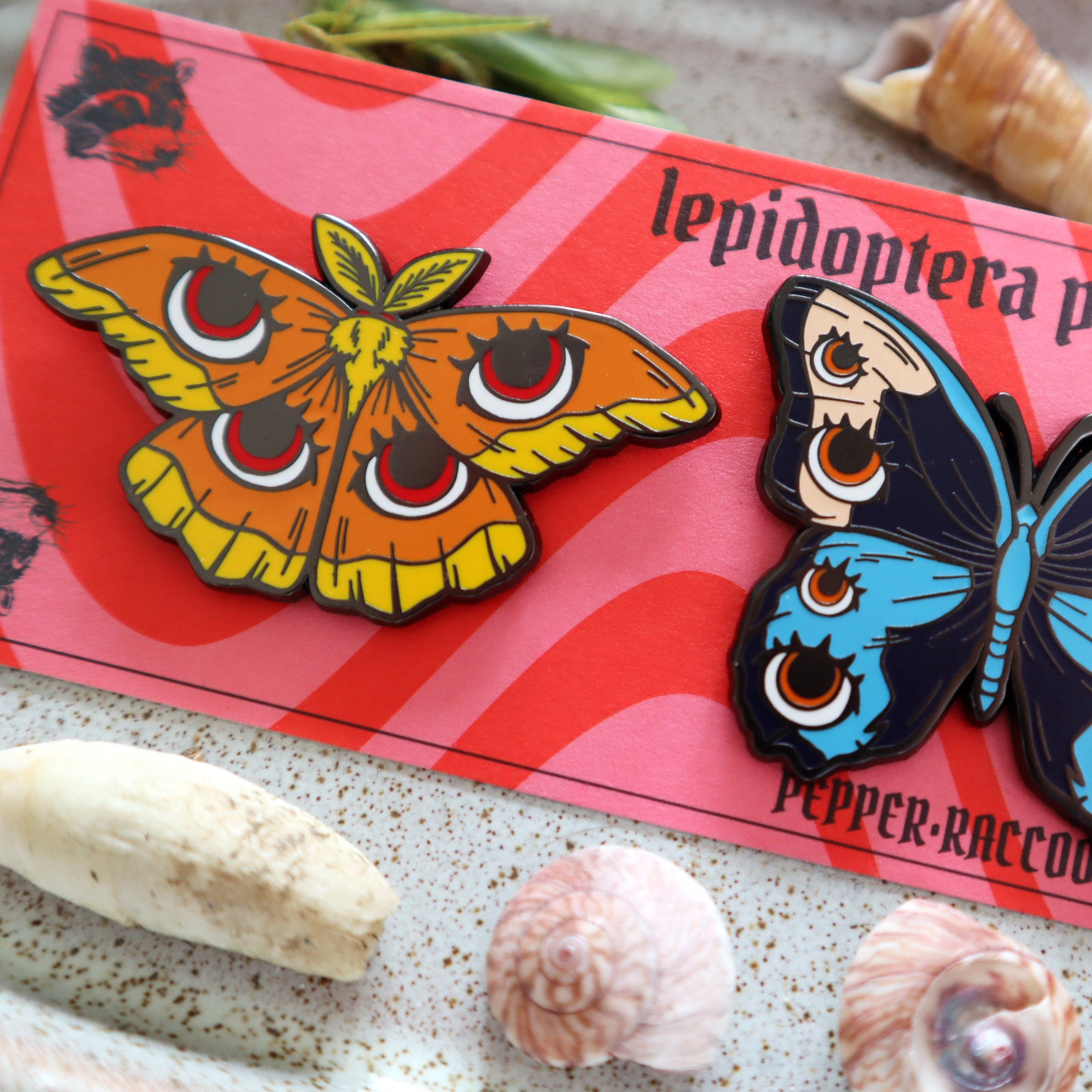 Panoptica Lepidoptera Butterfly Pin Set