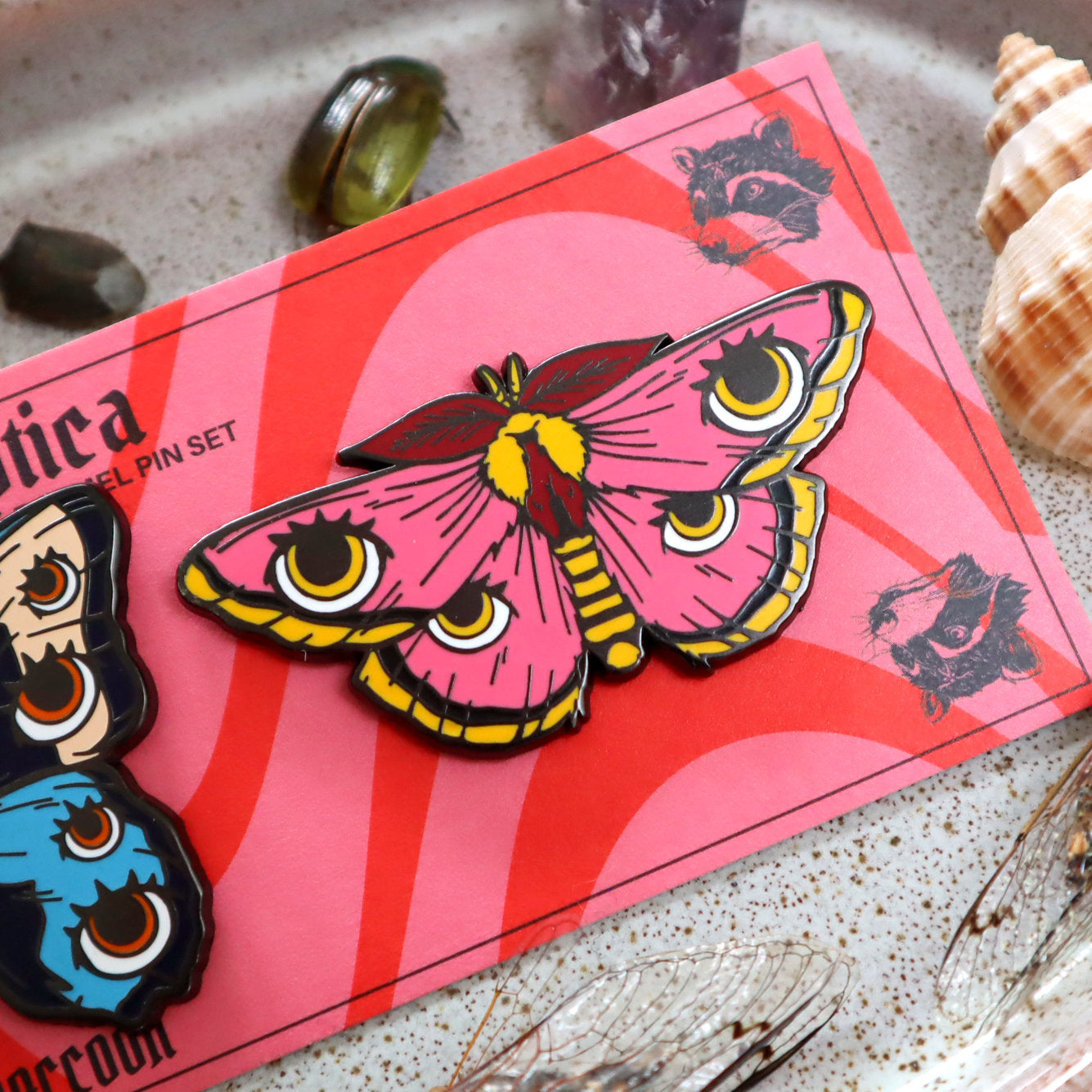 Panoptica Lepidoptera Butterfly Pin Set